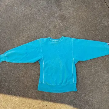 90s Champion Reverse Weave 분위기 발군