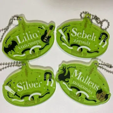 트위스테 네임 아크릴 키링 리리아 세벡 실버 마레우스