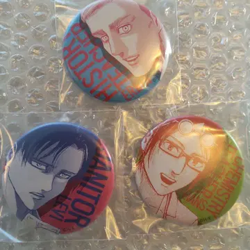 진격의 거인 아니크 스쿨 카스트 캔뱃지 리바이 한지 엘빈