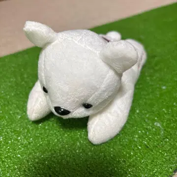 캘러웨이 곰 퍼터 커버