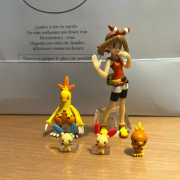 포켓몬 스케일 월드 피규어 하루카