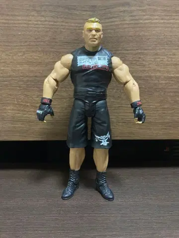 WWE 피규어 블록 레스너 마텔제 UFC