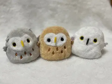 닭고기 완자 올빼미 3개 세트