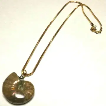 신 암모나이트 오팔화석 펜던트 목걸이 관리번호 G-1