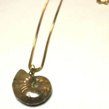 신 암모나이트 오팔화석 펜던트 목걸이 관리번호 G-1