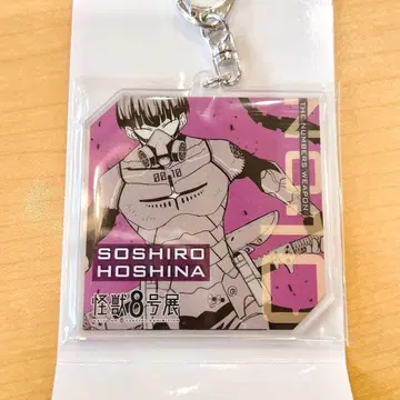 넘버 아크링 키링 호시나 소우시로