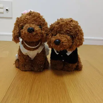 푸들/봉제 인형/웨딩 드레스