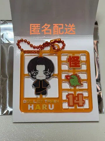 초특급 REAL? 플라스틱 모델풍 키링 하루