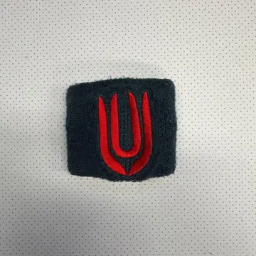 UNISON SQUARE GARDEN 리스트 밴드