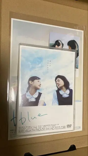 일본 영화 blue DVD 이치카와 미카코 코니시 마나미