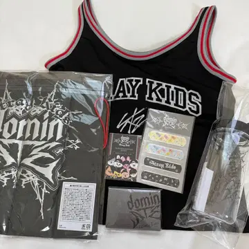 [ 미사용 ] straykids 스키즈 dominATE 업그레이드 굿즈