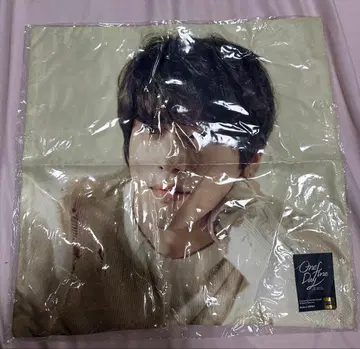 정용화 One Fine Day 2016 콘서트 쿠션 커버