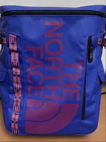 레어 THE NORTH FACE 백팩 아즈텍 블루