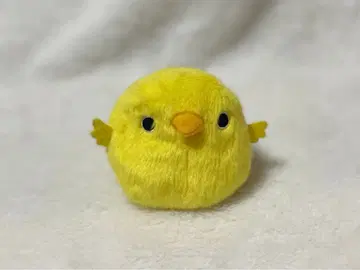 닭고기 완자 병아리