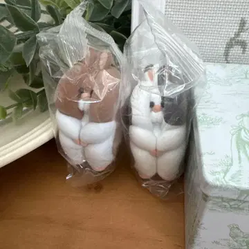 라스트 스키마 햄스터 골든 햄스터 & 골든 도미넌트 스팟