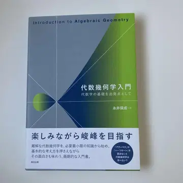 대수 기하학 입문