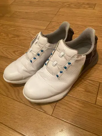 FootJoy 골프화 화이트