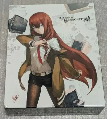 STEINS;GATE 혼의 소리