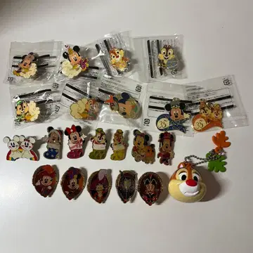 디즈니 핀 배지 키링 세트