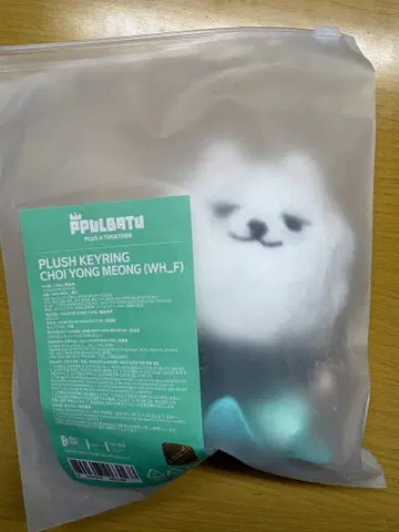 TXT PPULBATU 뿔바투 용몽 앉은 봉제 인형 키링