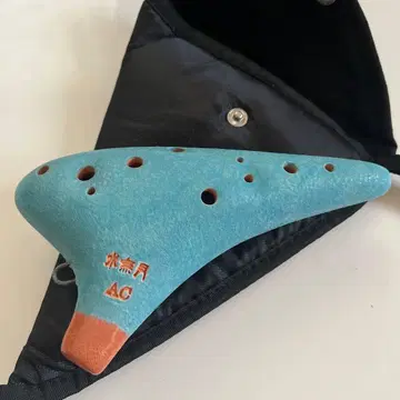 미나즈키 오카리나 (레지나) AC관