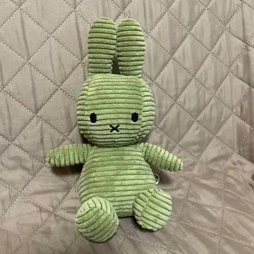 BONTONTOYS 코듀로이 미피 봉제 인형 올리브 그린