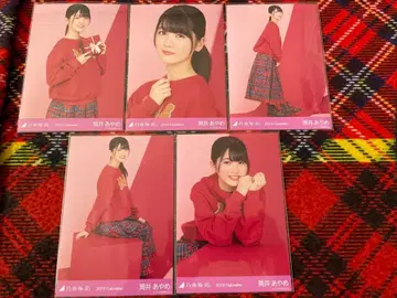 노기자카46 츠츠이 아야메 [ 발렌타인 2019 ] 브로마이드