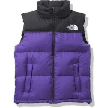 THE NORTH FACE 눕시 베스트