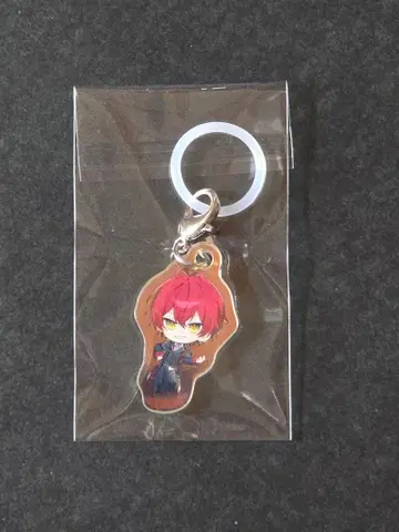 기사X 바우군 오로라 참