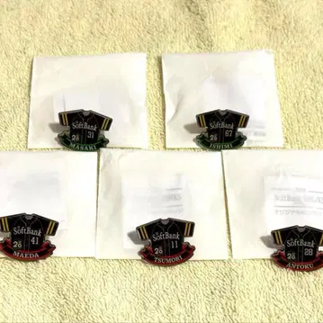 SoftBank HAWKS 오리지널 선수 핀 배지 5개 세트