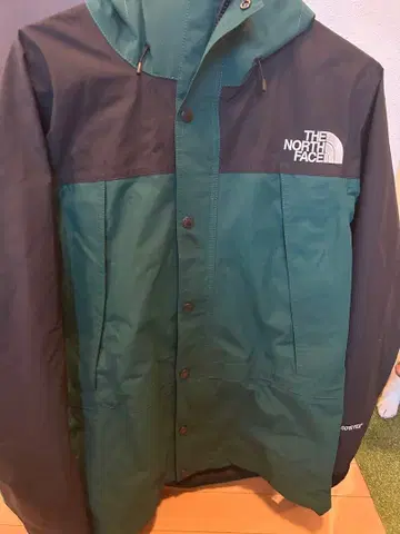 THE NORTH FACE 고어텍스 마운틴 라이트 자켓