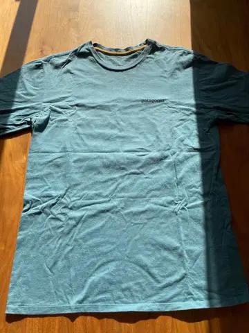 patagonia 오가닉 코튼 T셔츠 S