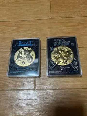 물의 도시와 수호신, 뮤우와 파동의 용사 메달