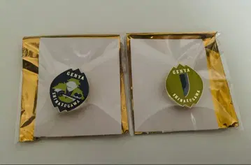 귀멸의 칼날 대사백경 컬렉션 핀즈 시나즈가와 겐야