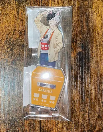 WIND BREAKER 난자타운 아크릴 스탠드 사쿠라 하루카