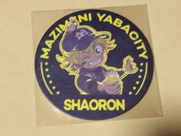 진지하게 야바시티 샤오롱 코스터