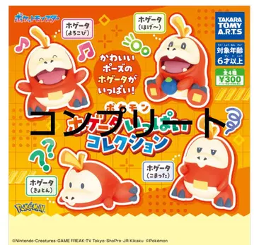 포켓몬 뜨아거(호게타) 가득 컬렉션