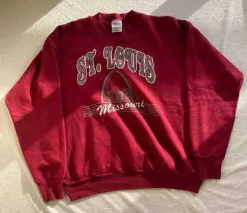 [ 즉시 구매 OK ] 헤인즈 구제 의류 맨투맨