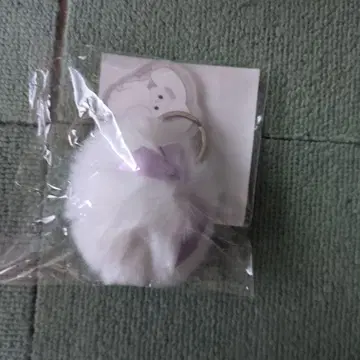 이레이스 쇼토 라비마루 꼬리 참