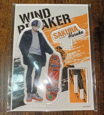 WIND BREAKER 아크릴 스탠드 사쿠라 하루카