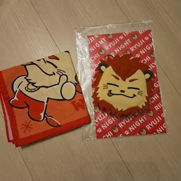 이마이치 류지 라이지 실리콘 코인 케이스 반다나