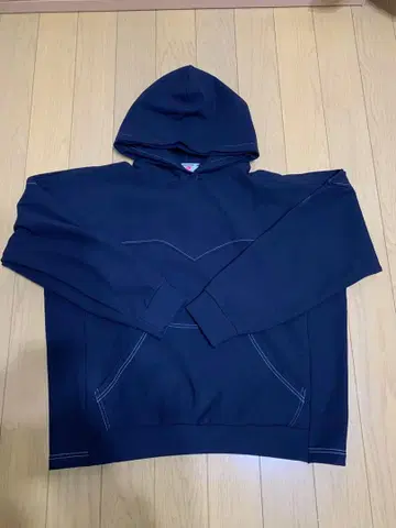 son of the cheese aerogel hoody L