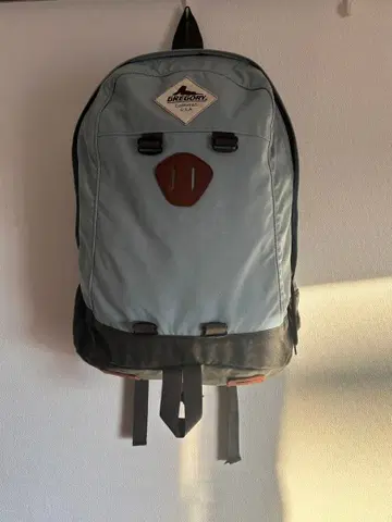 그레고리 GREGORY 데이팩 백팩