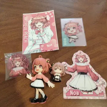 노아님 6개 세트