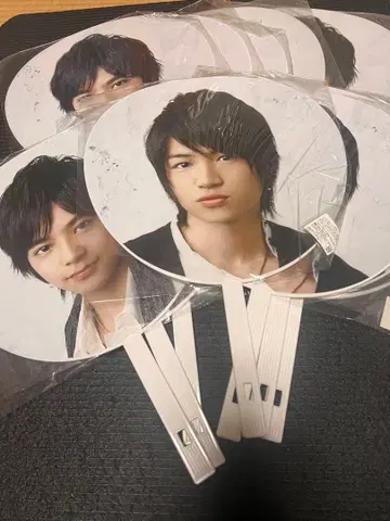 Sex Zone 부채 12개 세트 2012