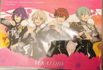 미개봉 앙스타 스타포니4th 라이브 뷰잉 특전 한정판 포스카