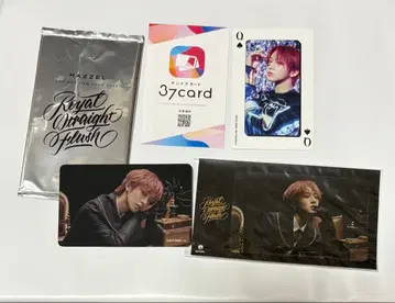 MAZZEL 나오야 37 카드 트레이딩 카드