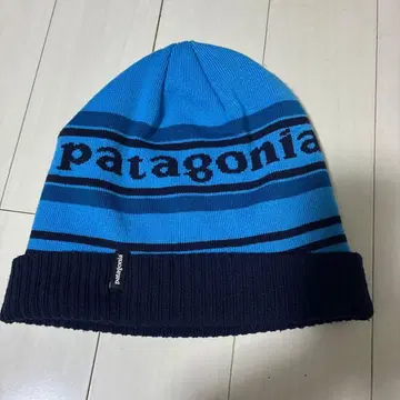 patagonia 스트라이프 니트 모자