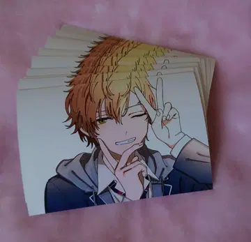 프로세카 네프리 L판 10장