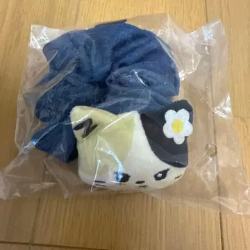 zeroni  rinini 리니니 스크런치 C상 에니마이 복권